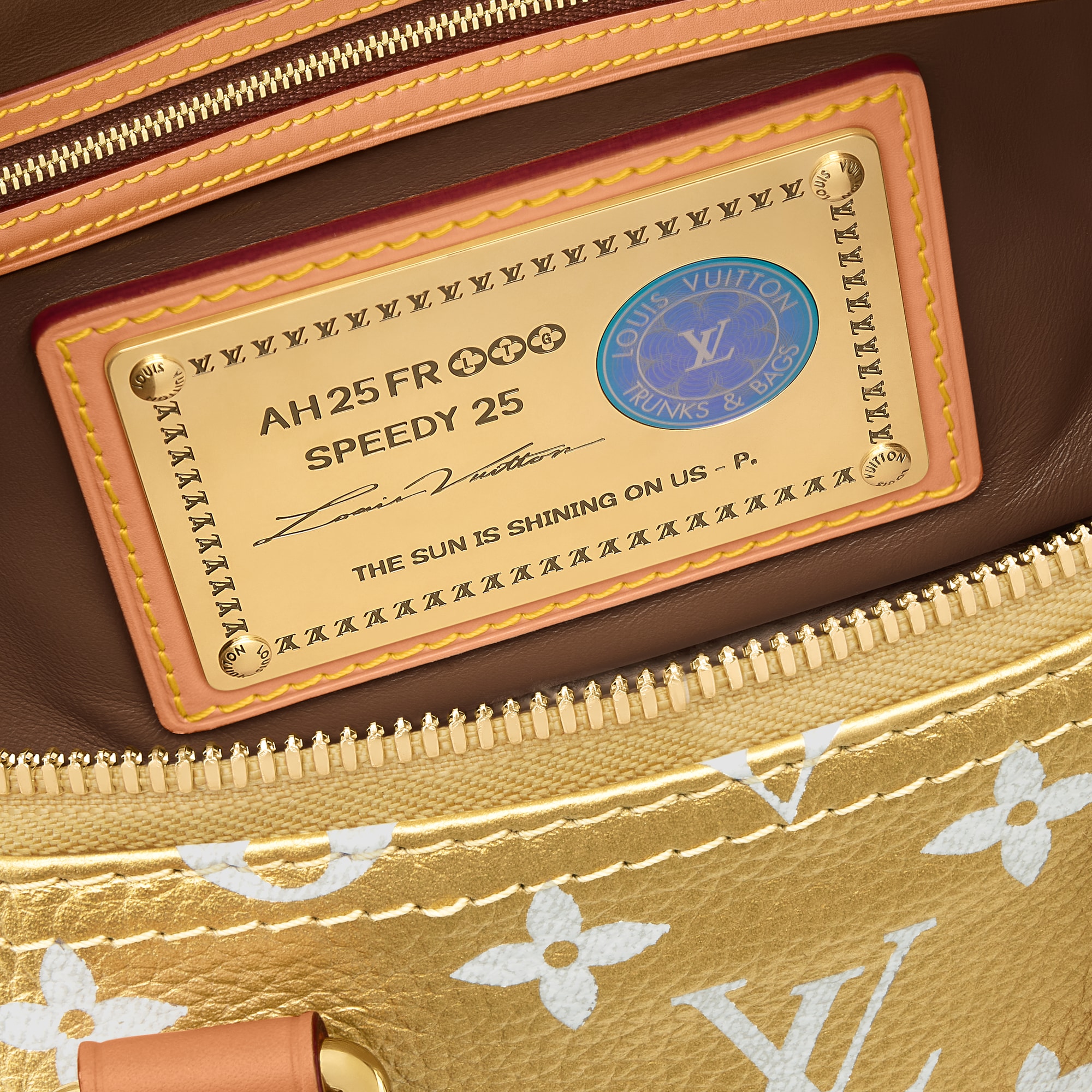 Speedy P9 Bandoulière 25 H40 - Leather Goods and Travel | LOUIS